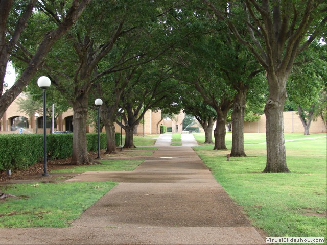 Sidewalk to Osborne Admin Bldg