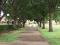 Sidewalk to Osborne Admin Bldg